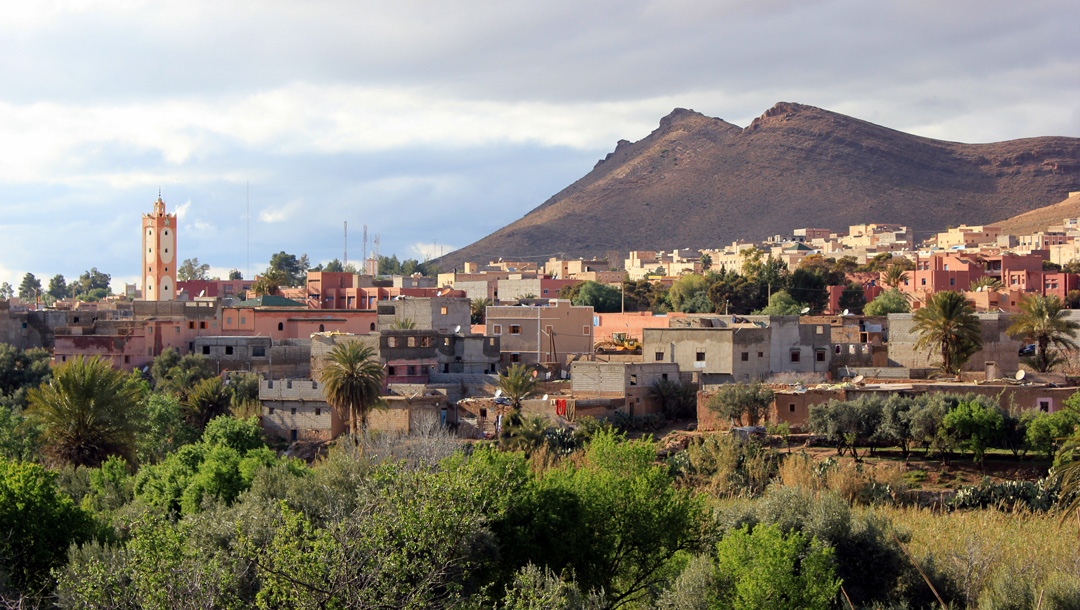 pur-safran-marocain-glaoui-taliouine-maroc-vallee-rouge-safran-pur-naturel-de-qualite